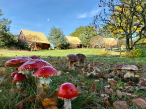 Chalet à la campagne, proche d'Ussel